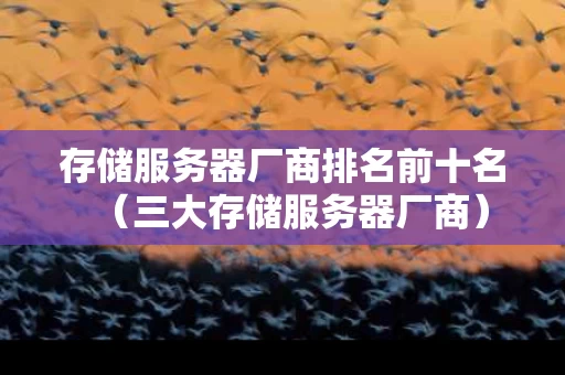 存储服务器厂商排名前十名（三大存储服务器厂商）
