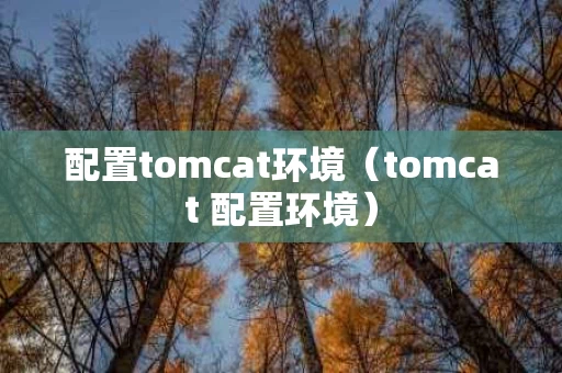 配置tomcat环境（tomcat 配置环境）