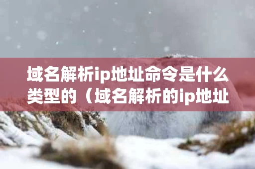 域名解析ip地址命令是什么类型的（域名解析的ip地址是公网ip吗）