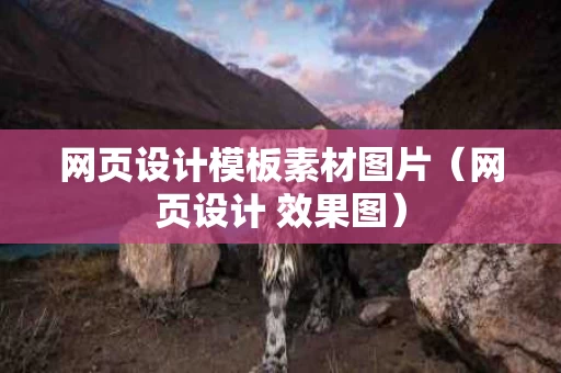 网页设计模板素材图片（网页设计 效果图）