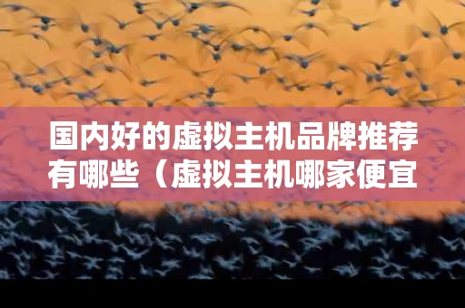 国内好的虚拟主机品牌推荐有哪些（虚拟主机哪家便宜）
