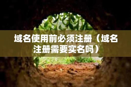 域名使用前必须注册（域名注册需要实名吗）
