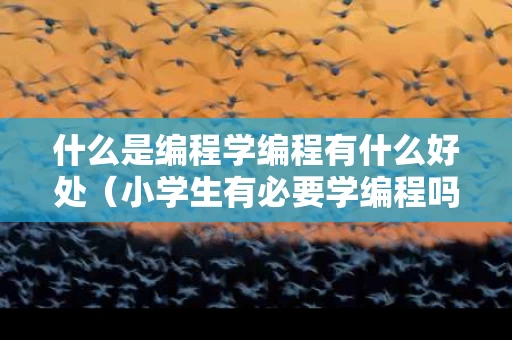 什么是编程学编程有什么好处（小学生有必要学编程吗）
