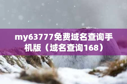 my63777免费域名查询手机版（域名查询168）