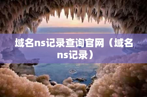 域名ns记录查询官网（域名 ns记录）