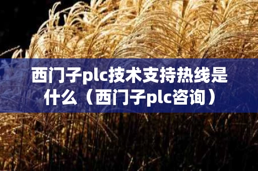 西门子plc技术支持热线是什么（西门子plc咨询）