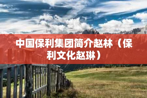 中国保利集团简介赵林（保利文化赵琳）