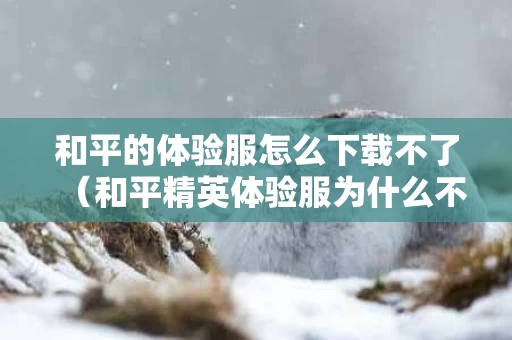 和平的体验服怎么下载不了（和平精英体验服为什么不能下载?）