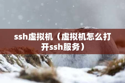 ssh虚拟机（虚拟机怎么打开ssh服务）