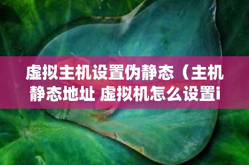 虚拟主机设置伪静态（主机静态地址 虚拟机怎么设置ip）