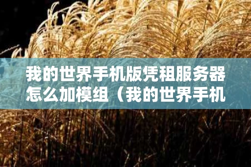 我的世界手机版凭租服务器怎么加模组（我的世界手机版租凭服务器怎么装模组）