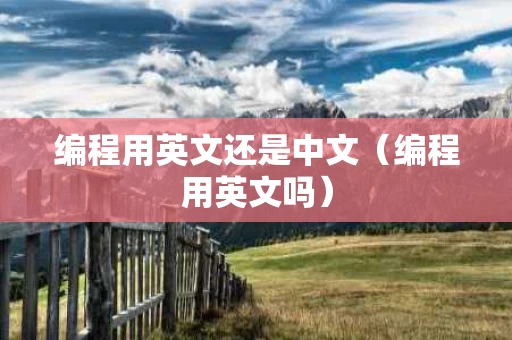 编程用英文还是中文（编程用英文吗）