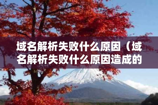 域名解析失败什么原因（域名解析失败什么原因造成的）