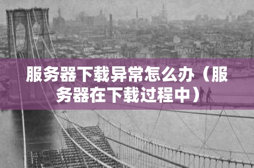 服务器下载异常怎么办（服务器在下载过程中）