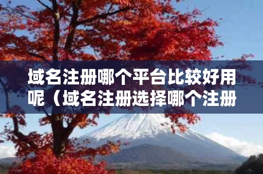 域名注册哪个平台比较好用呢（域名注册选择哪个注册商好）