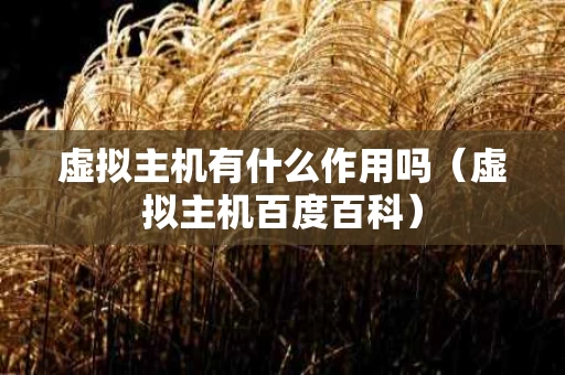 虚拟主机有什么作用吗（虚拟主机百度百科）