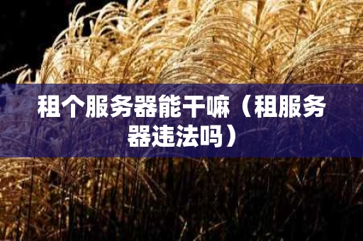 租个服务器能干嘛（租服务器违法吗）