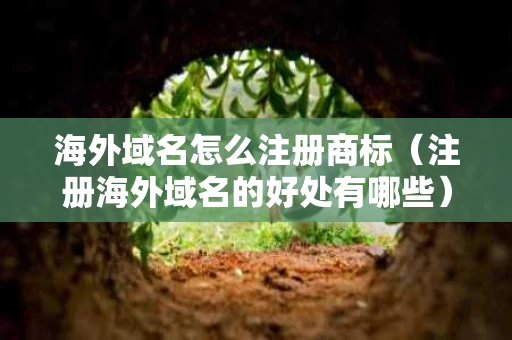 海外域名怎么注册商标（注册海外域名的好处有哪些）