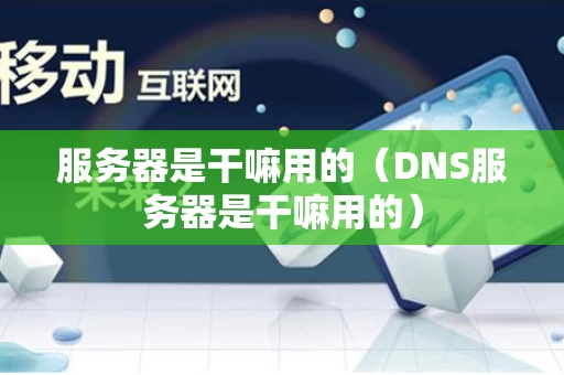 服务器是干嘛用的（DNS服务器是干嘛用的）