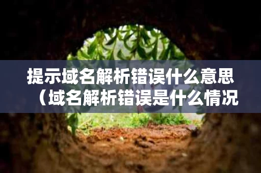 提示域名解析错误什么意思（域名解析错误是什么情况）