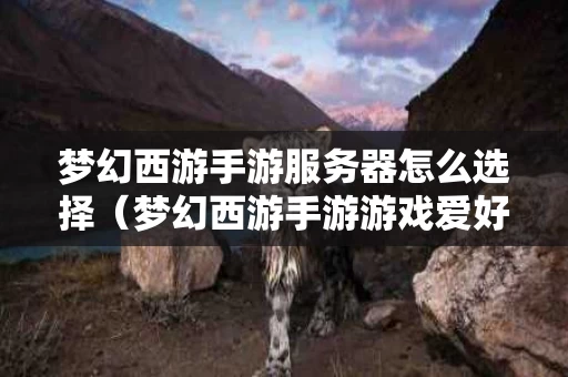 梦幻西游手游服务器怎么选择（梦幻西游手游游戏爱好者服务器）
