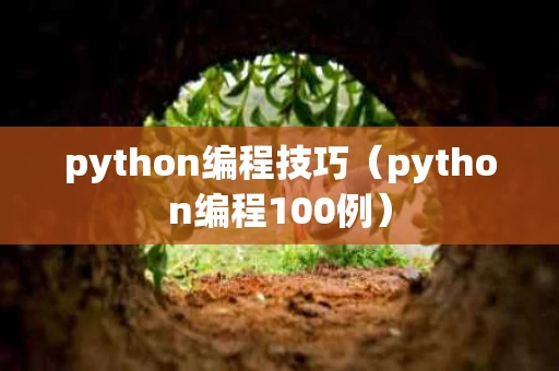 python编程技巧（python编程100例）