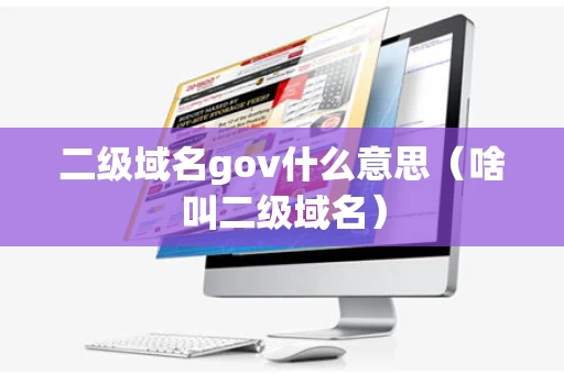 二级域名gov什么意思（啥叫二级域名）