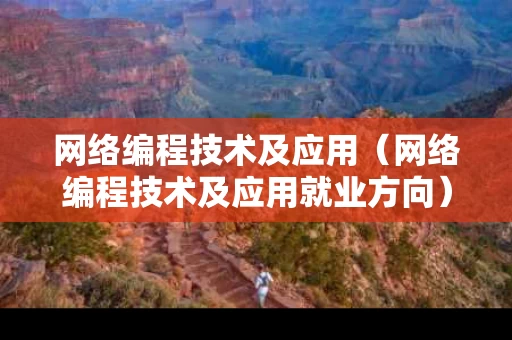 网络编程技术及应用（网络编程技术及应用就业方向）