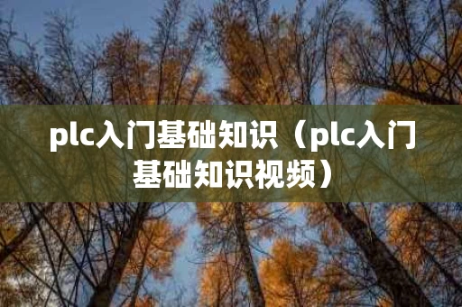 plc入门基础知识（plc入门基础知识视频）
