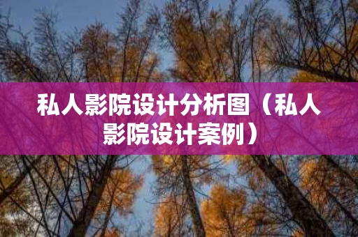 私人影院设计分析图（私人影院设计案例）