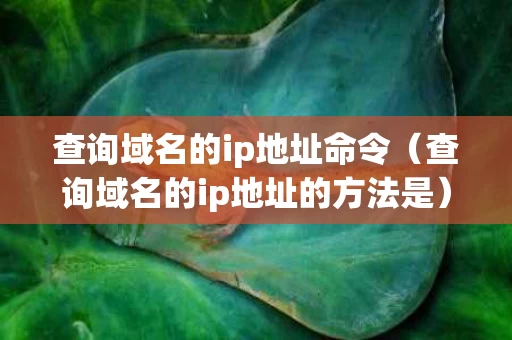 查询域名的ip地址命令（查询域名的ip地址的方法是）
