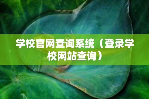 学校官网查询系统（登录学校网站查询）