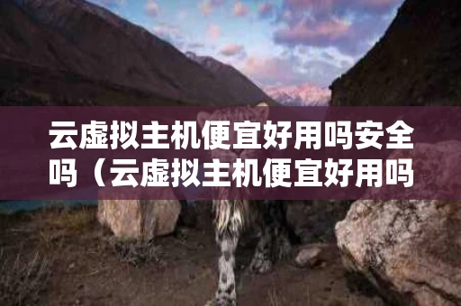 云虚拟主机便宜好用吗安全吗（云虚拟主机便宜好用吗安全吗知乎）