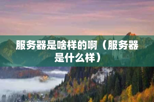 服务器是啥样的啊（服务器是什么样）