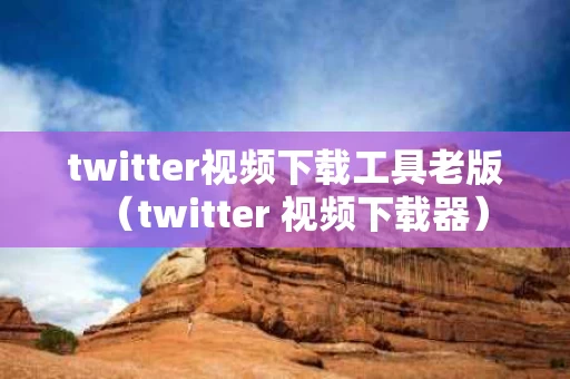 twitter视频下载工具老版（twitter 视频下载器）