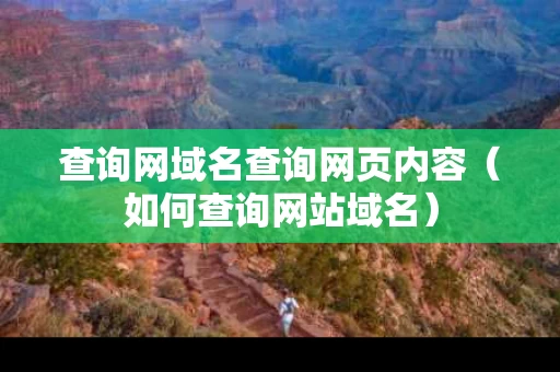 查询网域名查询网页内容（如何查询网站域名）