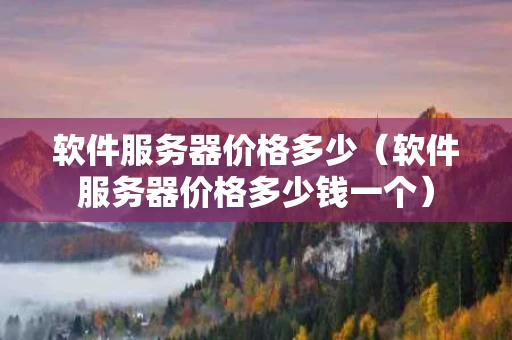 软件服务器价格多少（软件服务器价格多少钱一个）