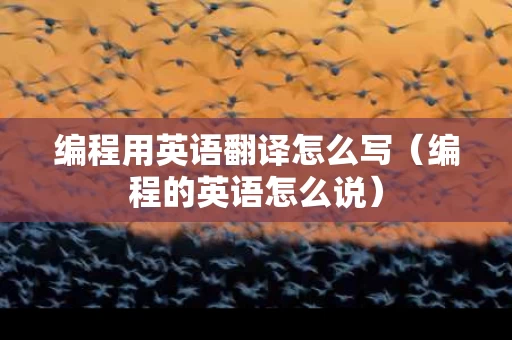 编程用英语翻译怎么写（编程的英语怎么说）
