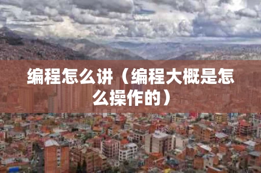 编程怎么讲（编程大概是怎么操作的）