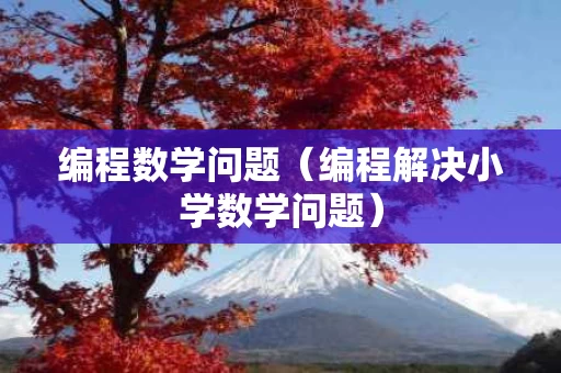 编程数学问题（编程解决小学数学问题）