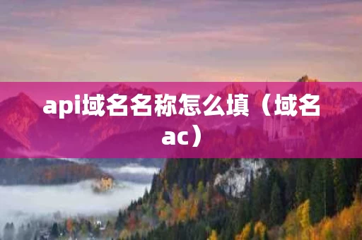 api域名名称怎么填（域名ac）