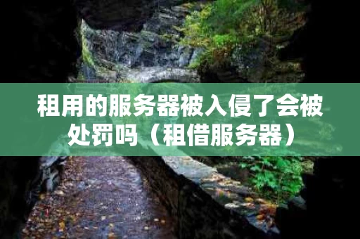 租用的服务器被入侵了会被处罚吗（租借服务器）