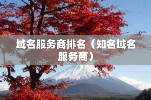 域名服务商排名（知名域名服务商）