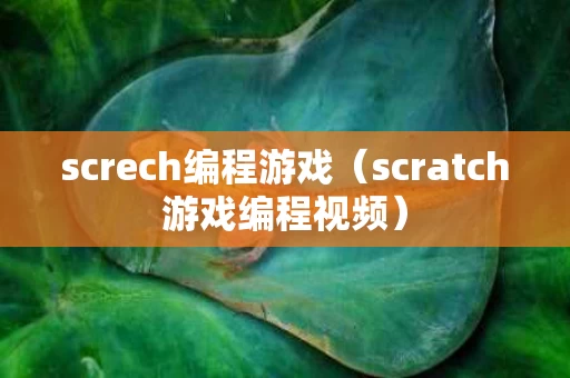 screch编程游戏（scratch游戏编程视频）