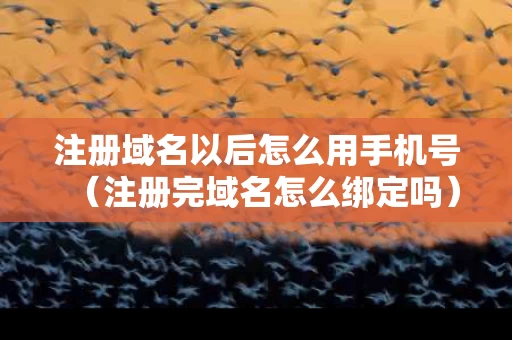 注册域名以后怎么用手机号（注册完域名怎么绑定吗）