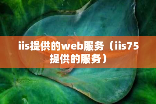 iis提供的web服务（iis75提供的服务）