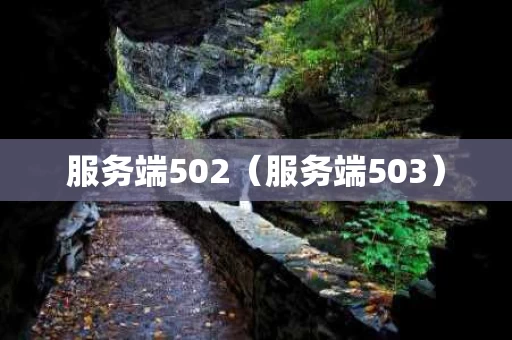 服务端502（服务端503）