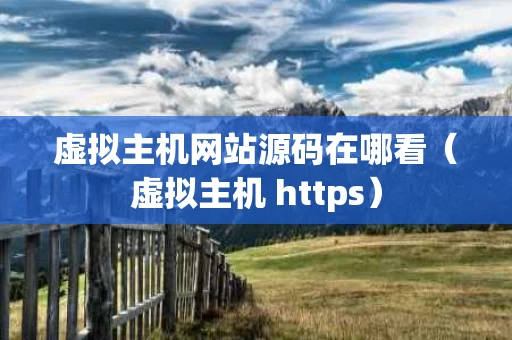 虚拟主机网站源码在哪看（虚拟主机 https）