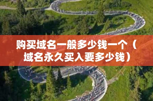 购买域名一般多少钱一个（域名永久买入要多少钱）