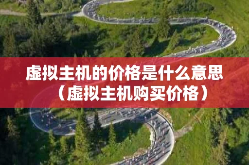 虚拟主机的价格是什么意思（虚拟主机购买价格）